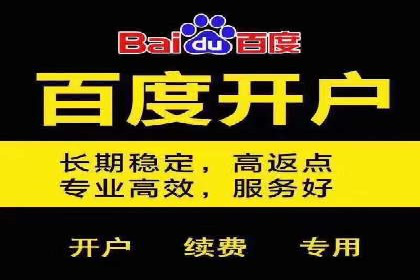某电商平台的SEM竞价专员成功案例分享