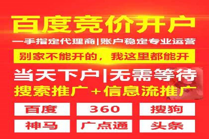 百度SEO优化公司案例：打造品牌网络曝光新高度