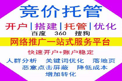 百度竞价广告投放策略：案例分析及效果评估